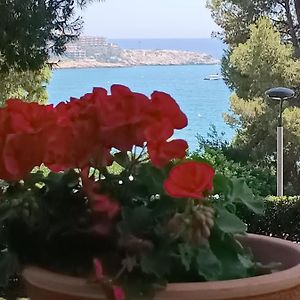 Beach & Flowers Free Parking